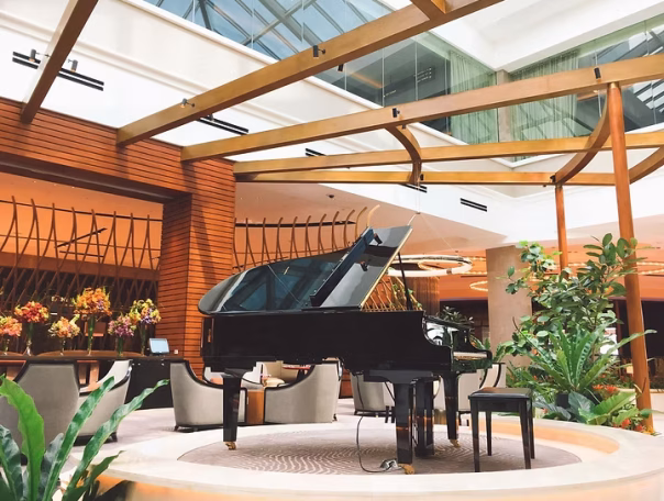 pexels-thuyenvu-322719 pexels-thuyenvu-322719